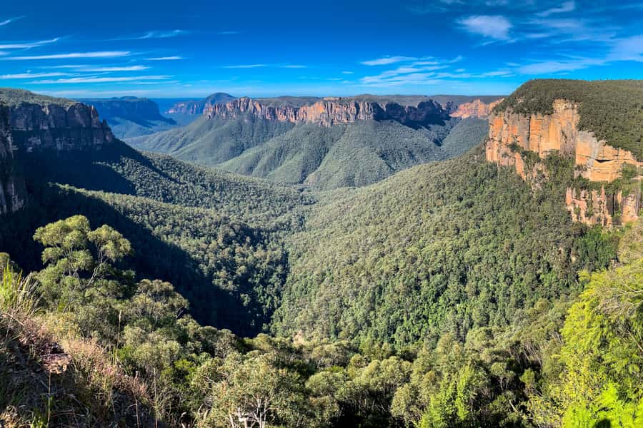 Sydney: Luxury Blue Mountains Adventure with Wentworth Falls - Featherdale Wildlife Park: hand-feeding kangaroos and relaxed up-close time