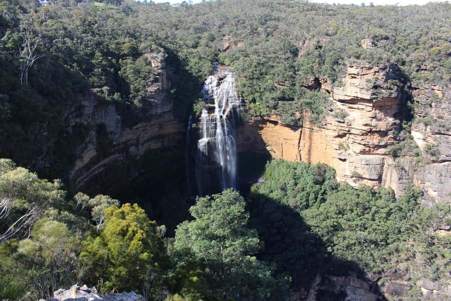 Sydney: Luxury Blue Mountains Adventure with Wentworth Falls - Wentworth Falls guided walk through tea-tree forests and fern gullies