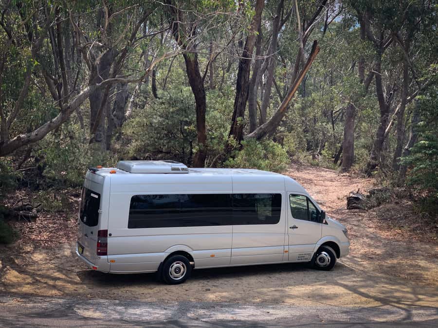 Sydney: Luxury Blue Mountains Adventure with Wentworth Falls - Price and value: what $194 buys in a 9-hour day