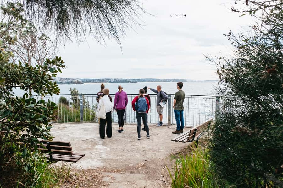 Sydney: Manly and Shelly Beach Snorkeling Tour - Key reasons this Manly snorkeling tour is worth your time