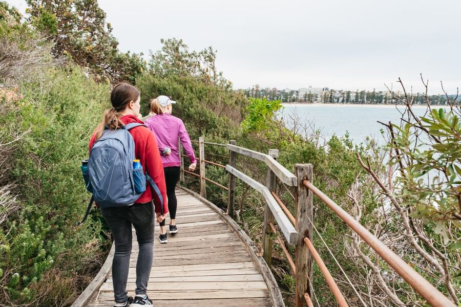 Sydney: Manly and Shelly Beach Snorkeling Tour - Should you book this Shelly Beach snorkeling tour?