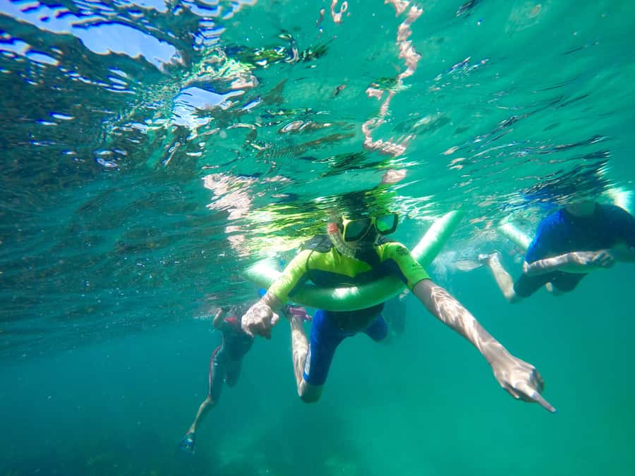 Sydney: Manly and Shelly Beach Snorkeling Tour - Snorkeling at Cabbage Tree Bay Aquatic Reserve, what you’re really looking for