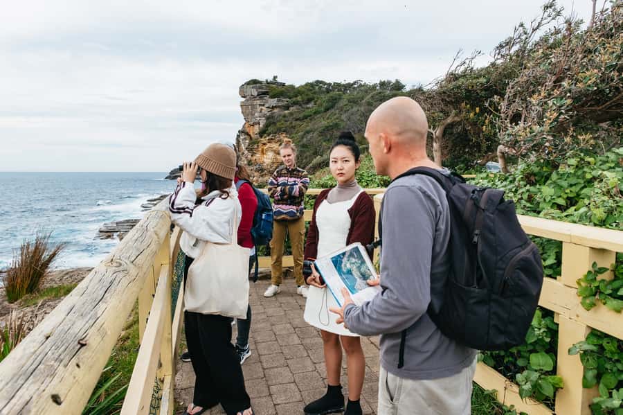 Sydney: Manly and Shelly Beach Snorkeling Tour - The full 150 minutes: how the timing actually plays out