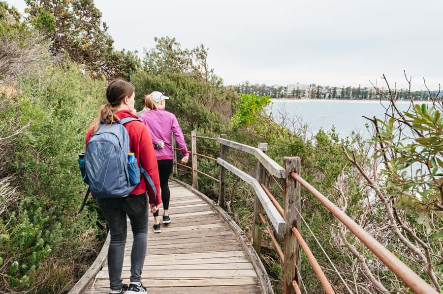 Sydney: Manly and Shelly Beach Snorkeling Tour - Who should book, and who should skip this Manly snorkeling tour