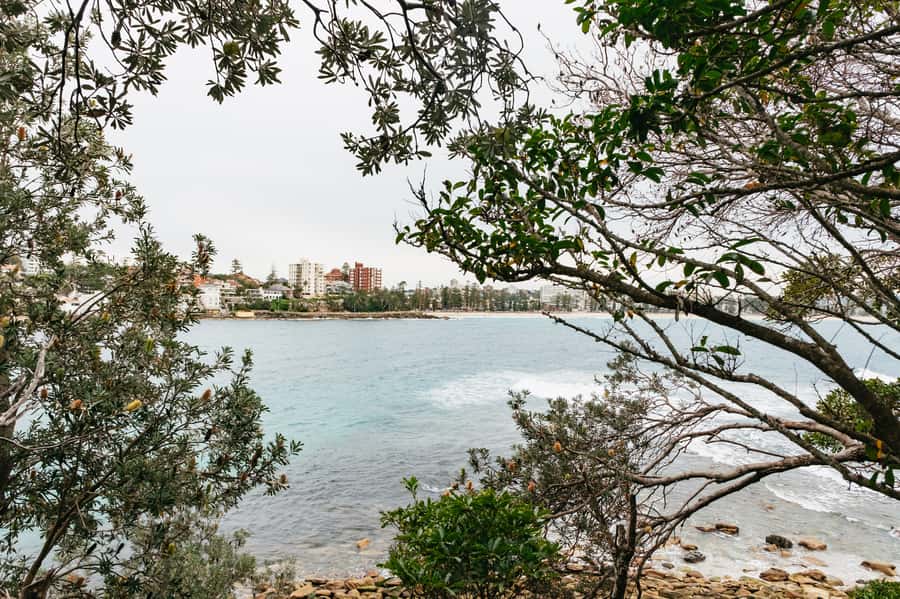 Sydney: Manly and Shelly Beach Snorkeling Tour - Booking checklist for Shelly Beach