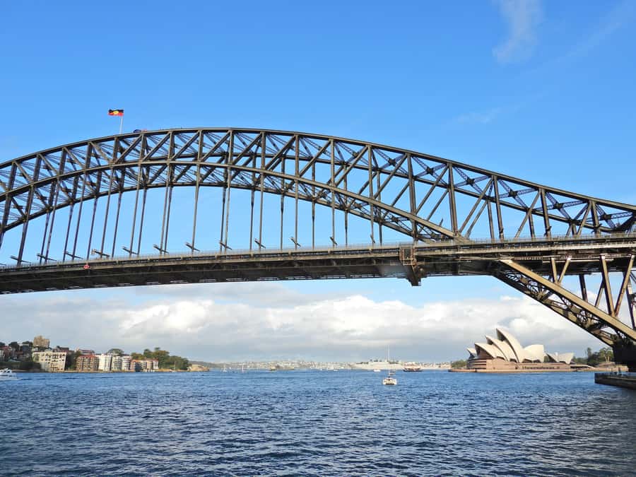 Sydney: Morning or Afternoon Harbour Sightseeing Cruise - Getting on at Sydney Princess Cruises, Eastern Pontoon in Circular Quay