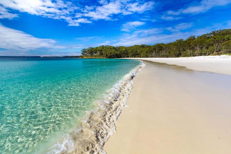 Sydney: Port Stephens Day Trip with Dolphin Cruise or Hike - Anna Bay sand dunes: 4WD sand safari and sandboarding that actually teaches you