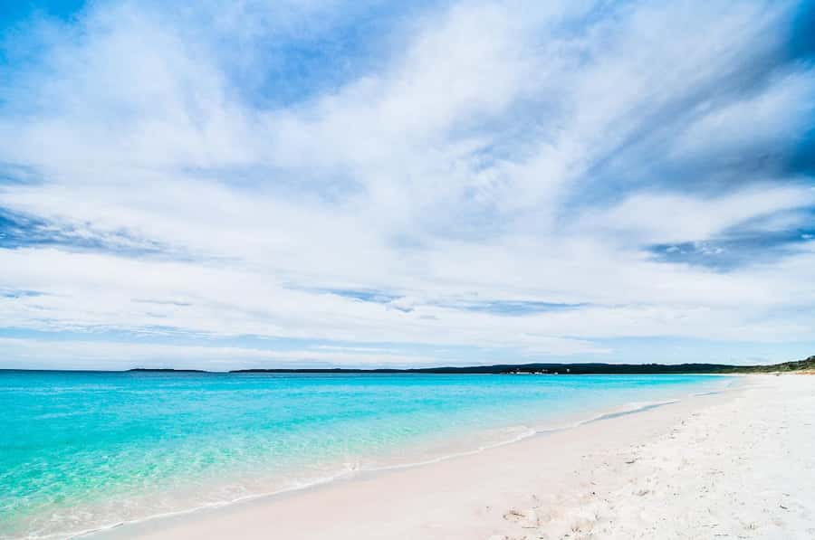 Sydney: Port Stephens Day Trip with Dolphin Cruise or Hike - Guide quality: the difference between good and memorable