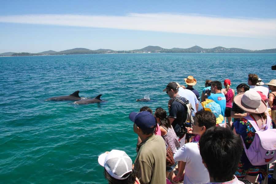 Sydney: Port Stephens Dolphin Cruise & Sandboarding Day Trip - Tour guide energy matters, and this one seems to deliver