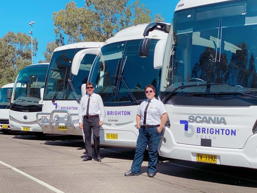 Sydney: Port Stephens Dolphin Cruise & Sandboarding Day Trip - Price and value, what $145 gets you for a 12-hour day