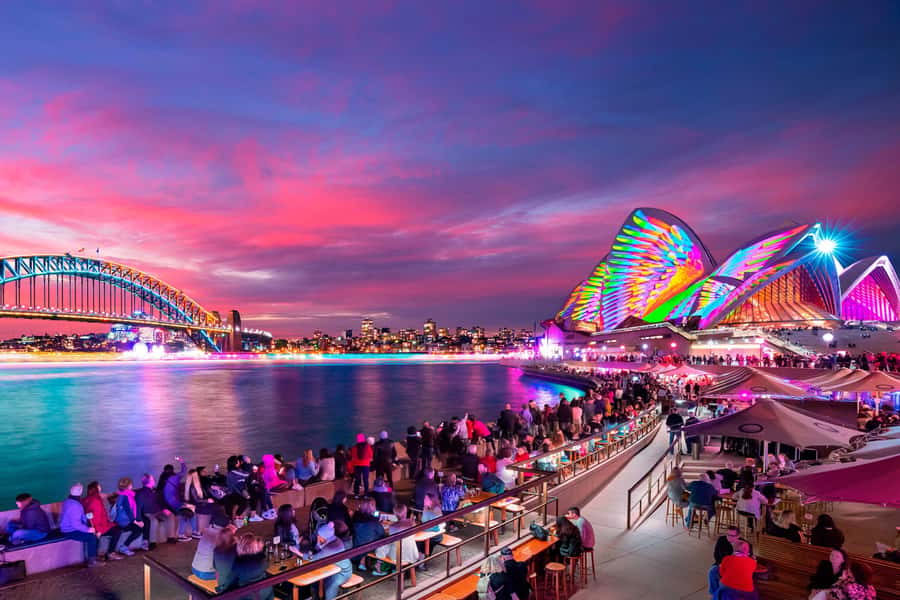 Sydney: Premium Catamaran Vivid Cruise with Welcome Drink - The 90-minute flow: under the bridge, past the Opera House, back on time