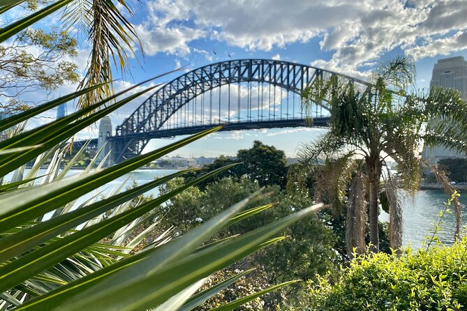 Sydney: PRIVATE City Highlights & Ocean Front Luxe Tour (4h) - Paddington terrace streets and Darling Harbour at a walkable pace