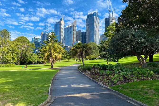 Sydney: PRIVATE City Highlights & Ocean Front Luxe Tour (4h) - Price, value, and how to decide if it fits your day