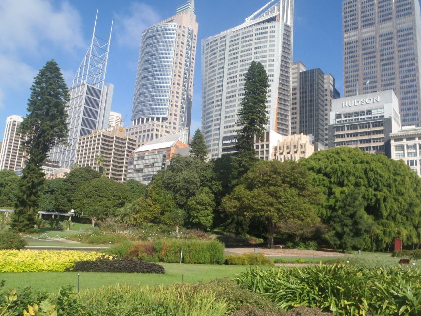 Sydney Private & Custom Walking Experience with a Local - When You Need Public Transport Between Stops