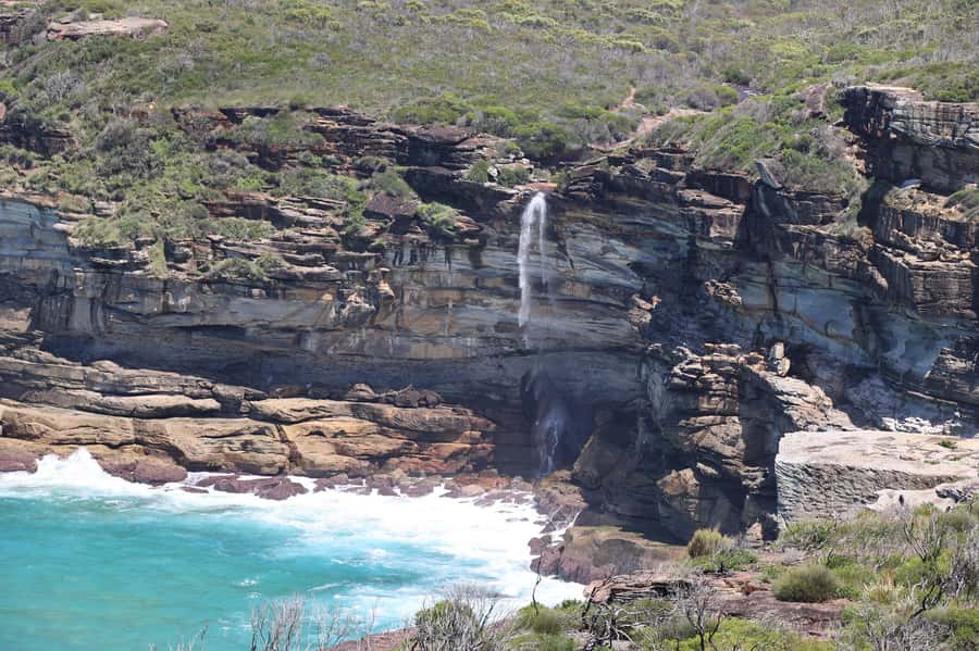 Sydney: Royal National Park private day tour - Coastal walking tips: plants, birds, and the small moments you should not rush