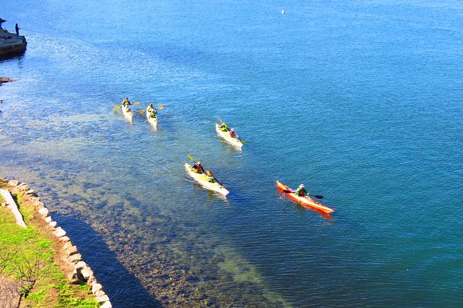 Sydney's Middle Harbour Sea Kayaking Eco Tour (Fully Guided) - A Small-Group Morning Paddle From Mosman