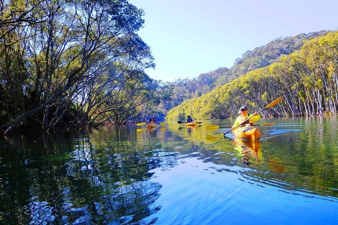 Sydney's Middle Harbour Sea Kayaking Eco Tour (Fully Guided) - The 20-Minute Safety and Paddling Start