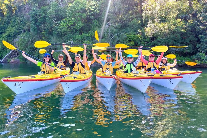 Sydney's Middle Harbour Sea Kayaking Eco Tour (Fully Guided) - A Mid-Paddle Break That Feels Like Part of the Trip