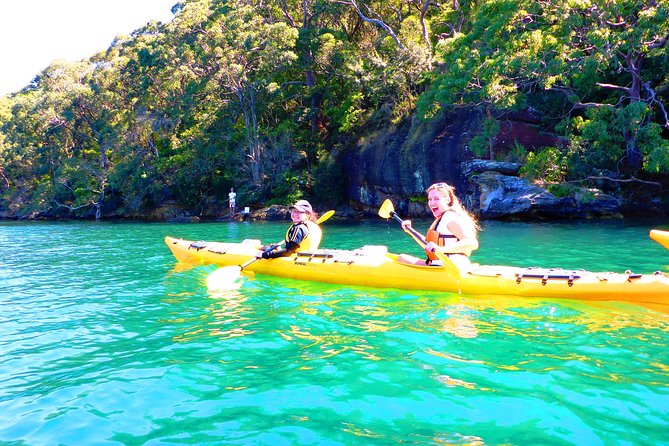 Sydney's Middle Harbour Sea Kayaking Eco Tour (Fully Guided) - Wildlife and Quiet Observations You Can Actually Do