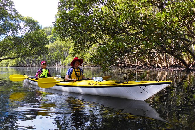 Sydney's Middle Harbour Sea Kayaking Eco Tour (Fully Guided) - Price and Value: What You Get for $118.35