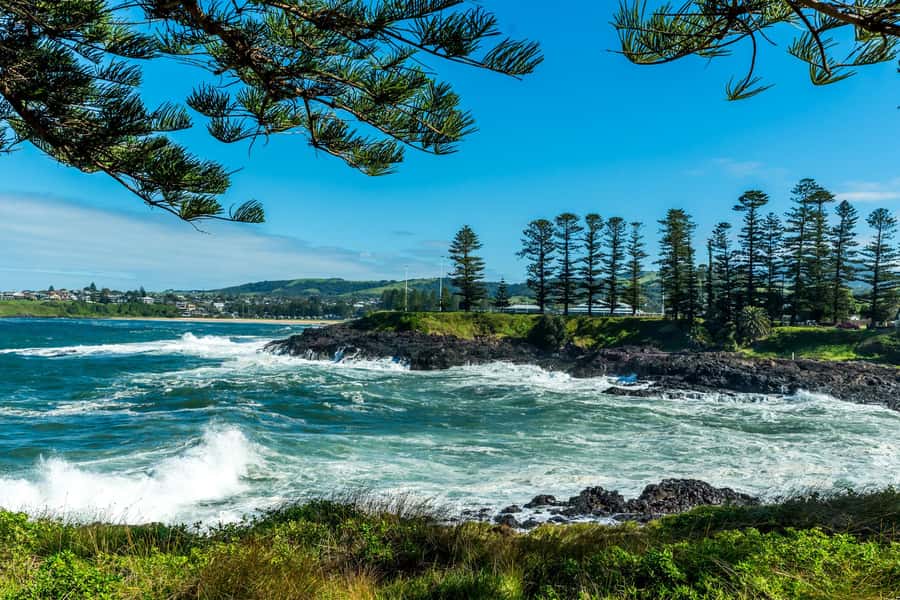 Sydney: Sea Cliff Bridge, Kiama Blowhole and Farmlands Tour - Wildlife and bird spotting: the bonus that makes the route feel personal