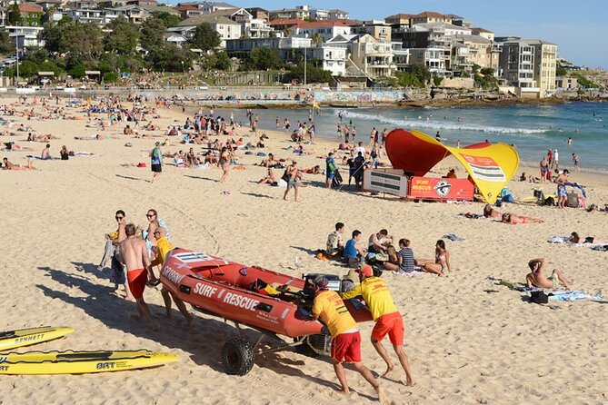 Sydney Sightseeing Bus Tour with Local Guide - Harbour bays you can read in minutes: Rushcutters Bay to Double Bay