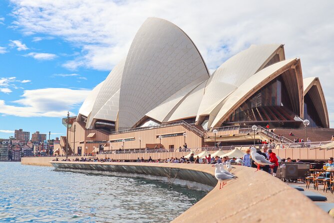 Sydney Six Beaches Trike Tour - Guides Like Kym and Mike, How the Stories Get Told