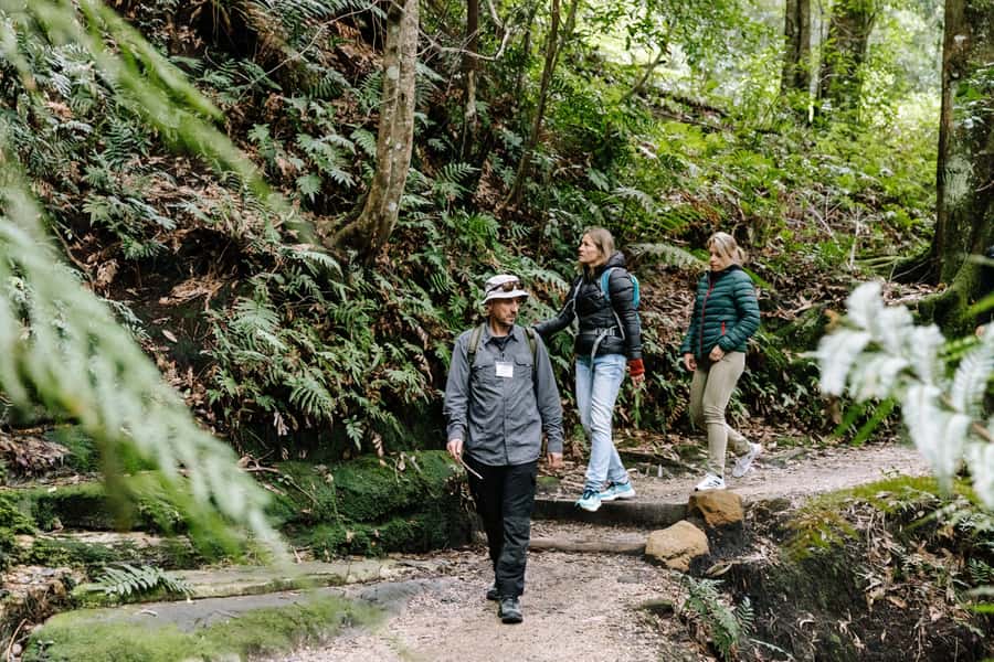 Sydney: Small Group Blue Mountains, Wildlife & Waterfalls - Key points to know before you go