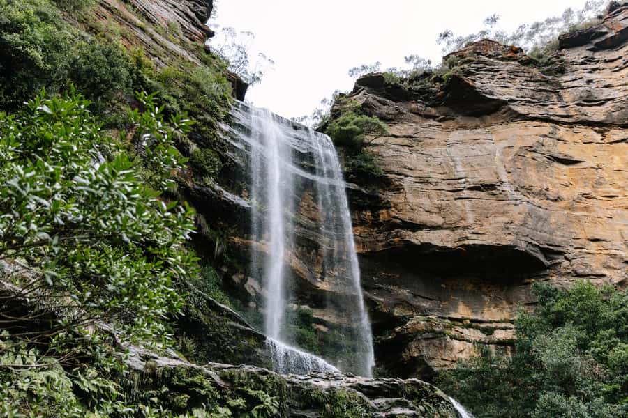 Sydney: Small Group Blue Mountains, Wildlife & Waterfalls - The drive west from Sydney: viewpoints and photo stops in between