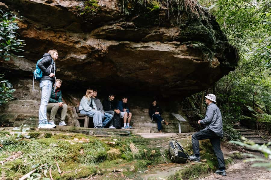 Sydney: Small Group Blue Mountains, Wildlife & Waterfalls - The guided bush walks to waterfalls and viewpoints: what moderate means in real life