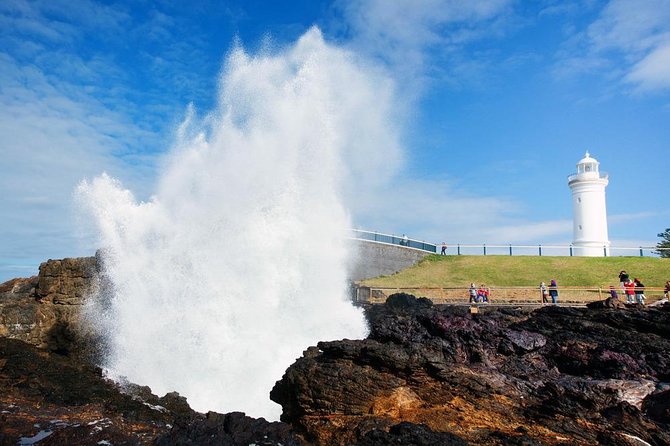 Sydney South Coast to Country Private Tour | Grand Pacific Drive - Kiama Blowhole: sea spray, timing, and that 20-meter spout