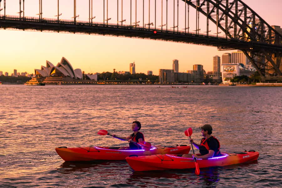 Sydney: Sunrise Kayak, Opera House & Under Harbour Bridge - Key Takeaways