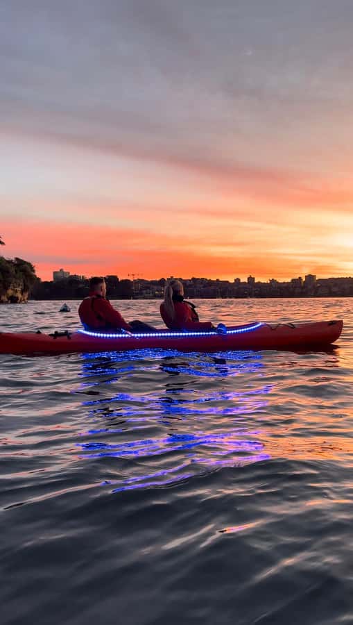Sydney: Sunrise Kayak, Opera House & Under Harbour Bridge - The Sunrise Paddle: Opera House Views, Photo Stops, and Possible Dolphins