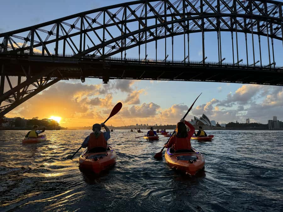 Sydney: Sunrise Kayak, Opera House & Under Harbour Bridge - Breakfast and Coffee at Flying Bear Cafe: Turning Energy Into Fuel