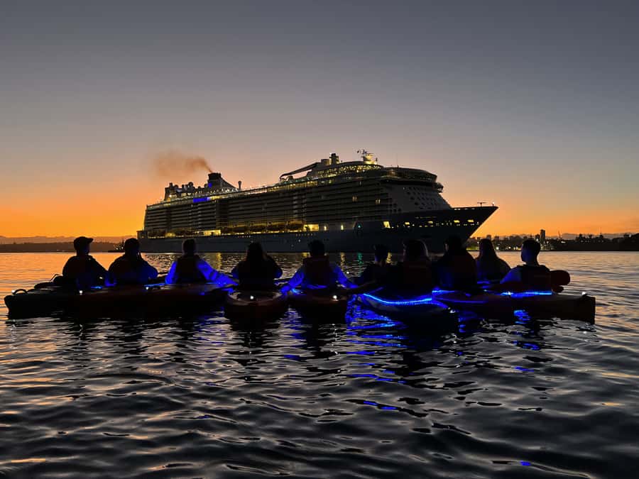 Sydney: Sunrise Kayak, Opera House & Under Harbour Bridge - How Hard Is It, Really? The Effort Level and Timing