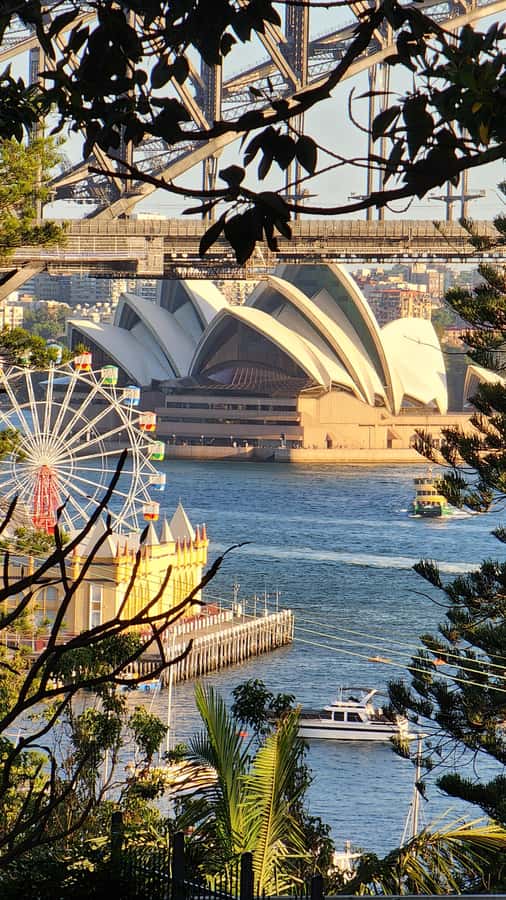 Sydney: Sunset Kayak - Opera & Harbour Bridge Tour (5p. max) - Guide style and safety: what the best tours do