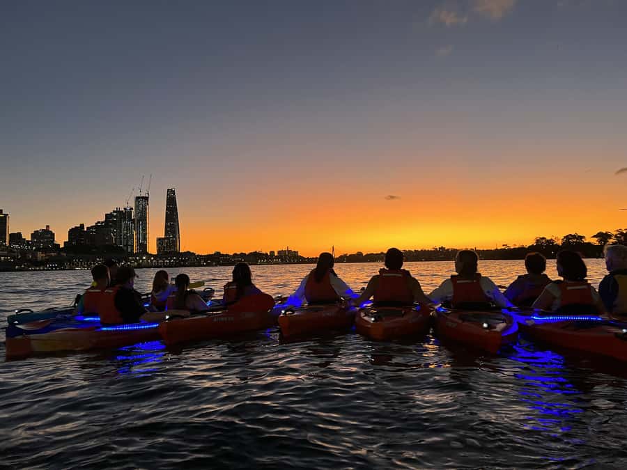 Sydney: Sunset Kayak Tour on Sydney Harbour - Why sunset kayaking from Lavender Bay feels different
