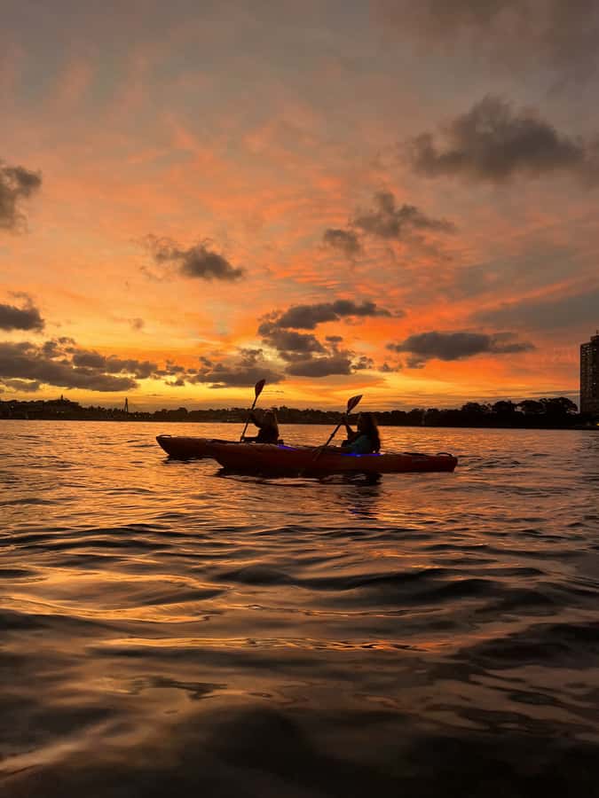 Sydney: Sunset Kayak Tour on Sydney Harbour - Opera House and Harbour Bridge, seen from a kayak