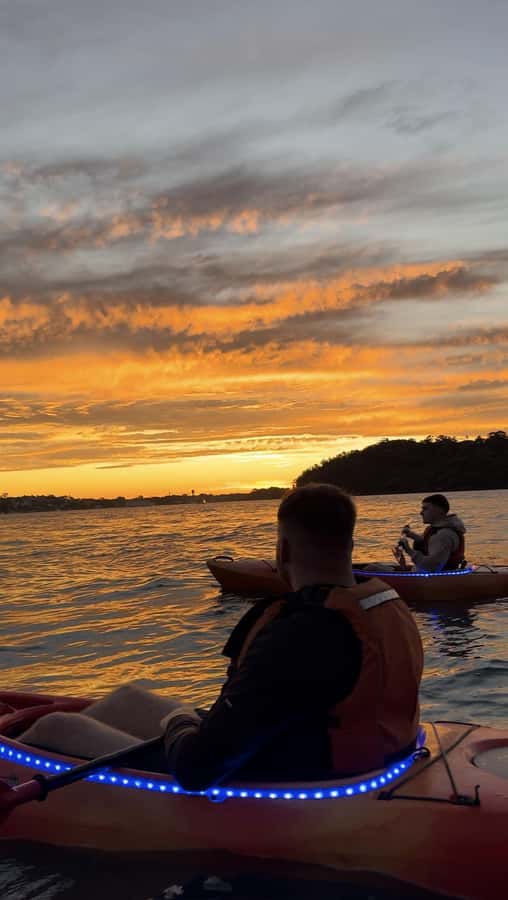 Sydney: Sunset Kayak Tour on Sydney Harbour - Small-group pacing with real guide support
