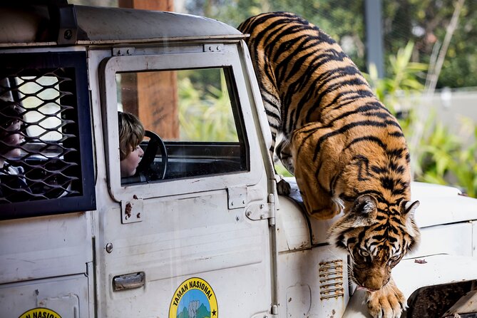 Sydney Taronga Zoo General Entry Ticket - Optional Wildlife Encounters: Worth It If You Want Close-Up Moments