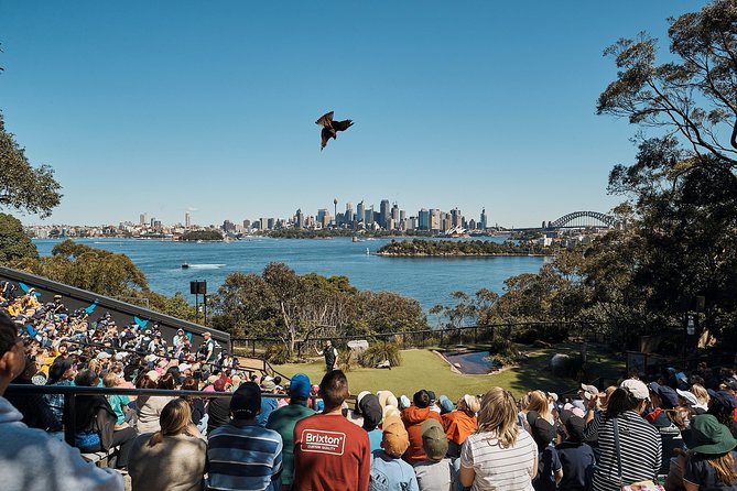 Sydney Taronga Zoo's Aussie Backyard Adventure Tour - Meeting at Taronga: where to go and how to start smoothly