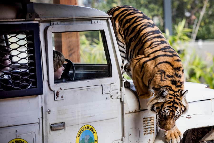 Sydney: Taronga Zoo Ticket with Return Ferry - Harbour Views Begin at Circular Quay or Darling Harbour