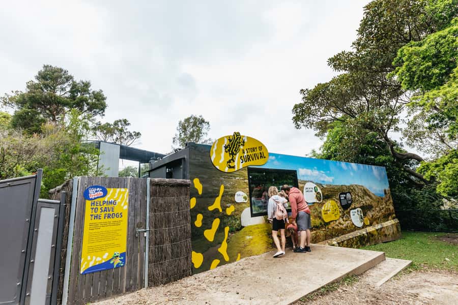 Sydney: Taronga Zoo Tickets - Free Flight Birds and the keeper talks: why the included program matters