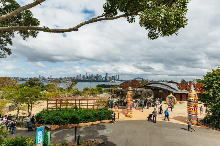 Sydney: Taronga Zoo Tickets - Animal highlights: koalas, giraffes, reptiles, owls, and more