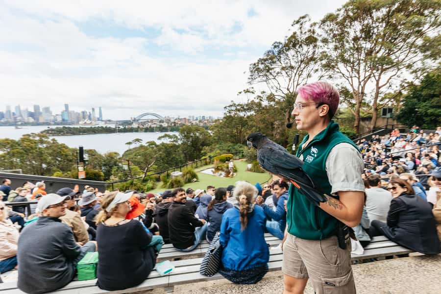 Sydney: Taronga Zoo Tickets - Getting there from Circular Quay: ferry time plus a hilltop shuffle