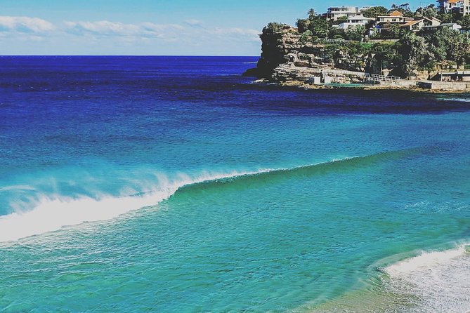 Sydney, The Rocks, Watsons Bay, Bondi Beach FULL DAY PRIVATE TOUR - Shark Beach, Camp Cove, and South Head: harbor beauty plus classic lookouts