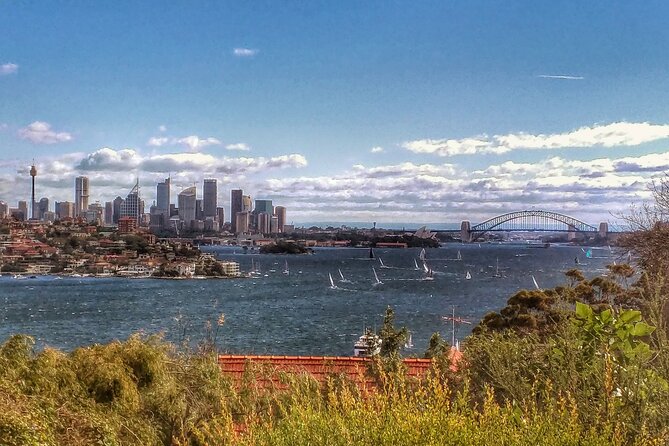 Sydney, The Rocks, Watsons Bay, Bondi Beach FULL DAY PRIVATE TOUR - Watsons Bay Baths lunch stop, dolphins and whales, and Macquarie Lighthouse