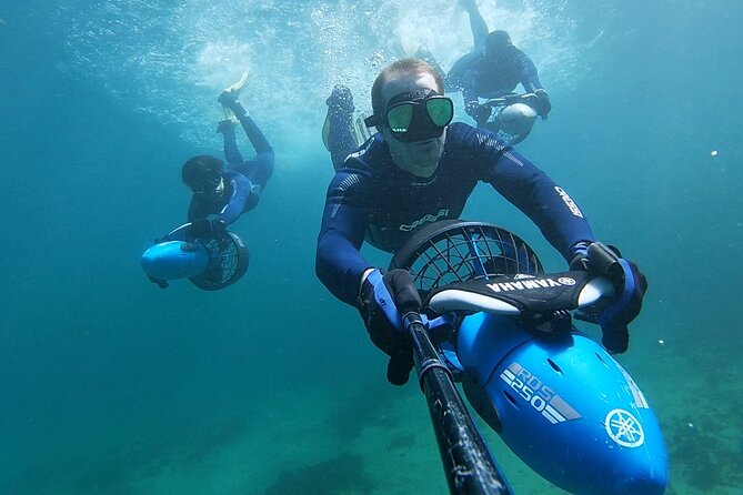 sydney underwater scooter tours - Why Clovelly’s Underwater Scooter Setup Feels Like a Smart Upgrade
