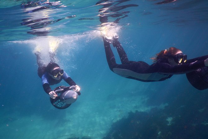 sydney underwater scooter tours - Getting There: Burrows Park Start, Clovelly Surf Club Briefing