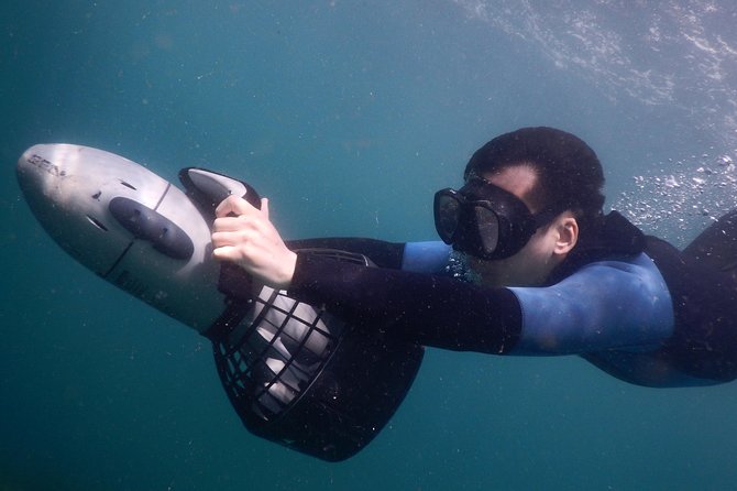 sydney underwater scooter tours - Booking Timing: Plan Ahead for a Limited-Size Experience